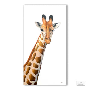 Original Artwork - J Patterson - Giraffe