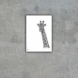 Giraffe Limited Edition Print