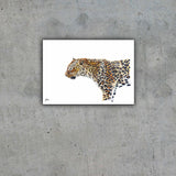 Limited Edition Print Wildlife in colour - Leopard
