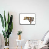 Limited Edition Print Wildlife in colour - Leopard