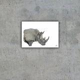Limited Edition Print Wildlife in colour - Rhino