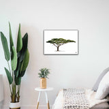 Limited Edition Print Wildlife in colour - Acacia Tree
